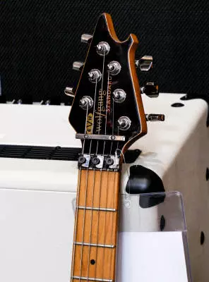 EVH - Wolfgang Standard QM, Baked Maple Fingerboard - Transparent Green 2